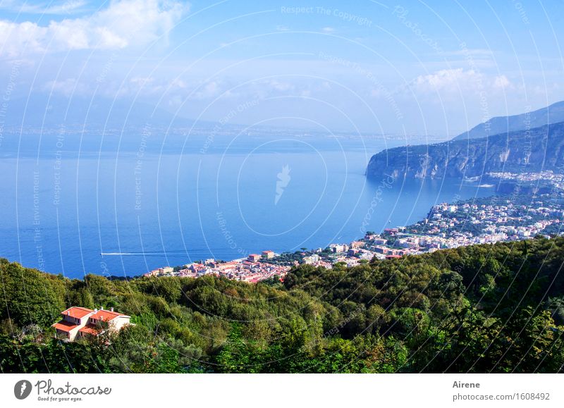 Sorrento Sky Forest Coast Ocean Bay Italy Campania Town Port City Bright Historic Maritime Beautiful Blue Green Wanderlust Relaxation Experience Horizon Idyll