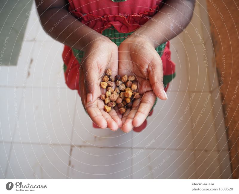 snack time Nut Nutrition Human being Child Girl Hand Fingers 1 3 - 8 years Infancy Dress Anticipation Hospitality Appetite To enjoy India Colour photo