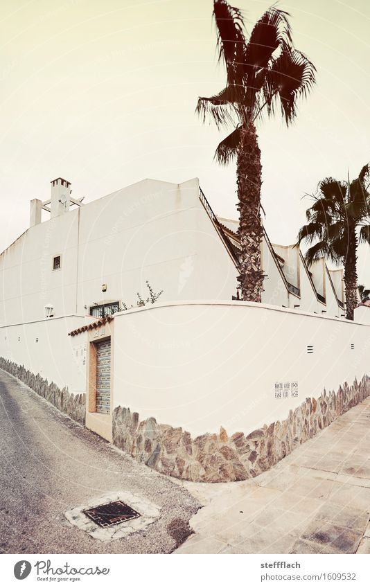 In front of the wall, by the little gate ... Architecture Summer Beautiful weather Warmth Plant Palm tree Village Deserted House (Residential Structure)