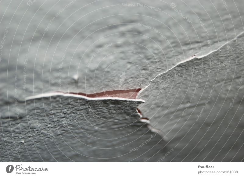 rip Wall (building) Multicoloured Bright Wall (barrier) Destruction Old Wallpaper Pink White Broken Dismantling Interior shot Detail Macro (Extreme close-up)