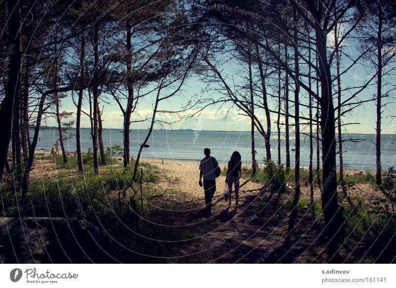 The Sea Ocean Forest Clouds Adventure Tree Sky Sand Colour Summer