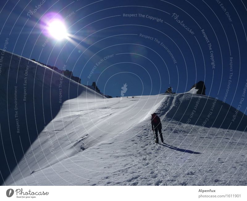 queuing Expedition Mountain Climbing Mountaineering Cloudless sky Sun Beautiful weather Hill Rock Alps Gran Paradiso Peak Snowcapped peak Glacier Hiking Happy