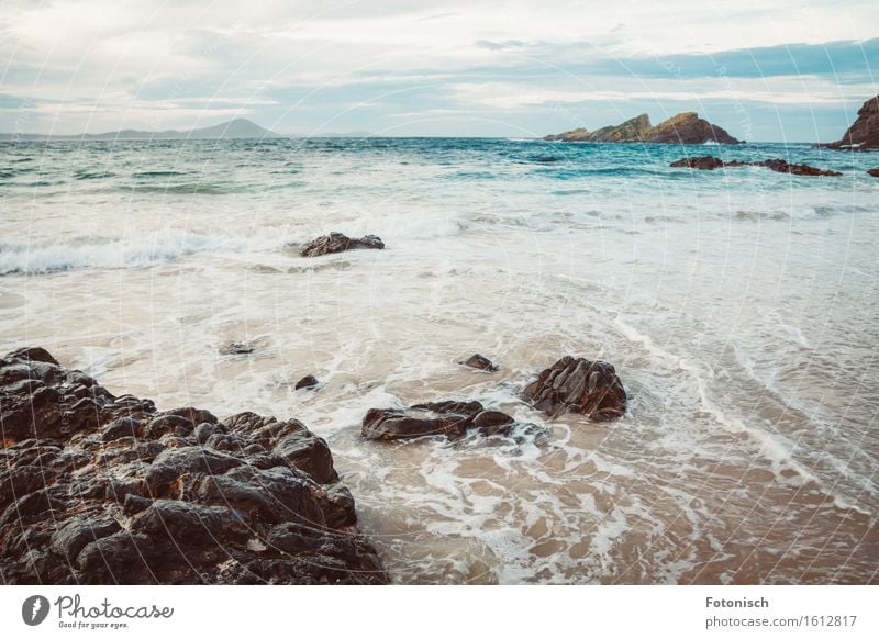 Tasman Sea Earth Water Rock Waves Coast Ocean Relaxation Vacation & Travel Tourism Environment Stone Beach Colour photo Exterior shot Detail Deserted Day