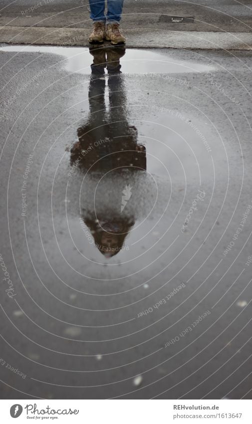 Julia in the puddle. Human being Feminine Young woman Youth (Young adults) 1 18 - 30 years Adults Stand Wait Exceptional Cool (slang) Wet Moody Truth Honest