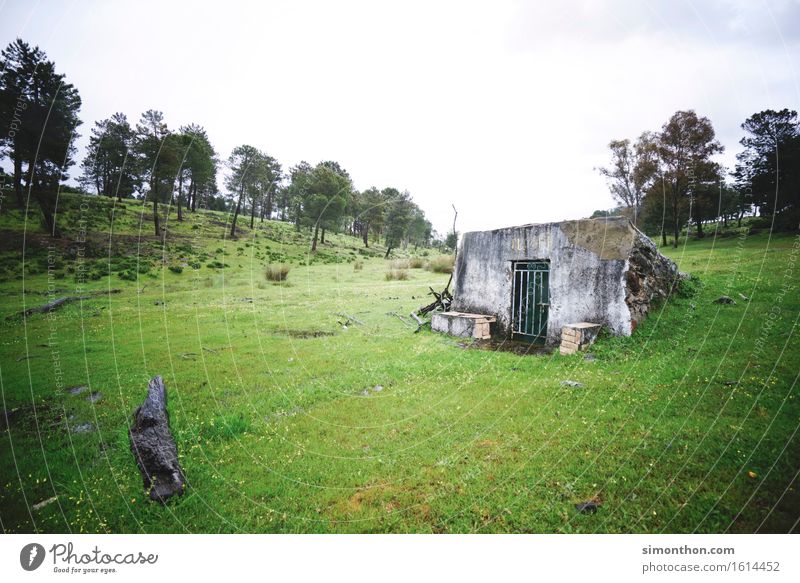 home Environment Nature Landscape Plant Meadow Field Forest Hill Alps Mountain Village Deserted House (Residential Structure) Hut Poverty Dirty Dark Simple Free