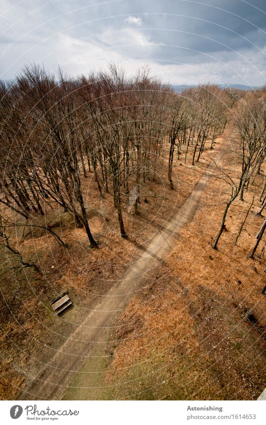 Path from above 1 Environment Nature Landscape Plant Air Sky Clouds Storm clouds Horizon Spring Weather Tree Forest Hill Lanes & trails Large Brown Red Light