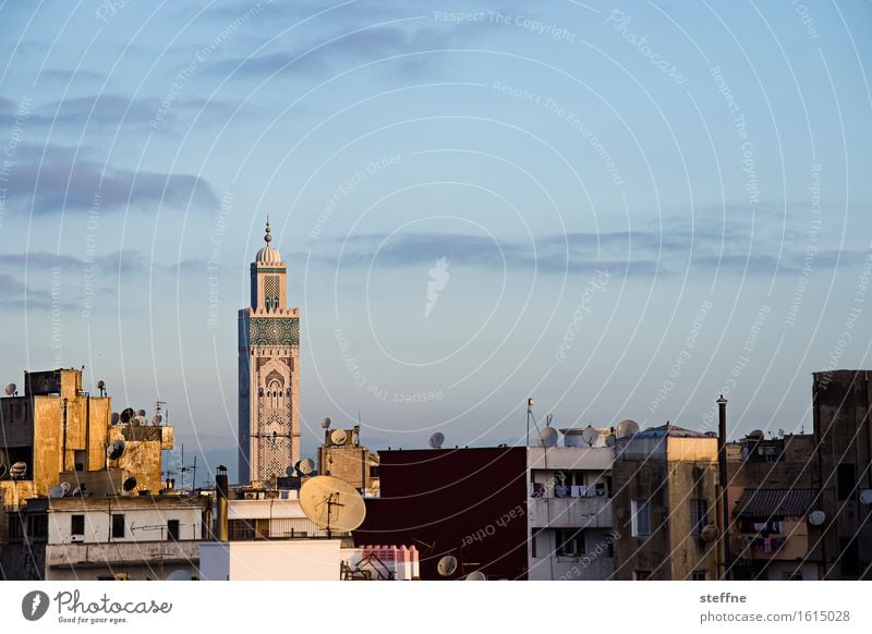 Arabian Dream IV Beautiful weather Religion and faith Morocco Orient vacation Tourism Casablanca Mosque Minaret Sunrise Mosque Hassan II Copy Space top