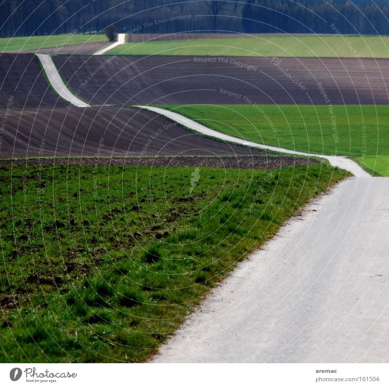 ups and downs Street Lanes & trails Asphalt Agriculture Field Hill Waves Curve Landscape Spring Transport Traffic infrastructure