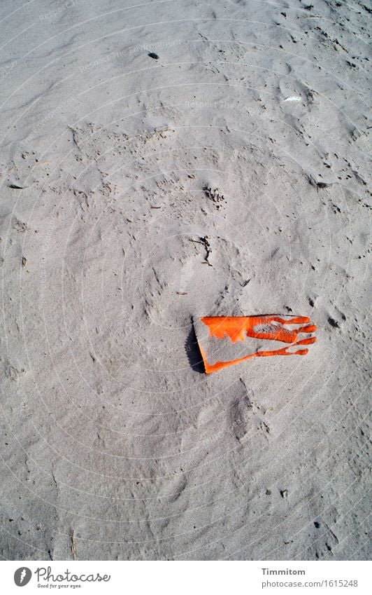 Give me your hand... Work and employment Environment Beach Denmark Gloves Work gloves Sand Plastic Lie Wait Gray Orange Exterior shot Deserted Day