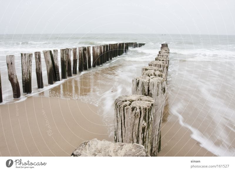 Zeeland, North Sea Beach Water Ocean Bad weather Weather Cold Wood Waves Sand Wet Dreary Netherlands Horizon Coast