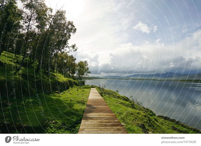 Green&Blue Environment Nature Landscape Plant Air Water Sky Clouds Horizon Climate Climate change Beautiful weather Mountain Coast Lakeside Sustainability Break