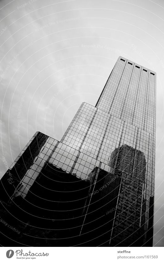 telescopic house House (Residential Structure) High-rise Skyline Downtown Tampa Black White Covered Tall Glass Glas facade USA