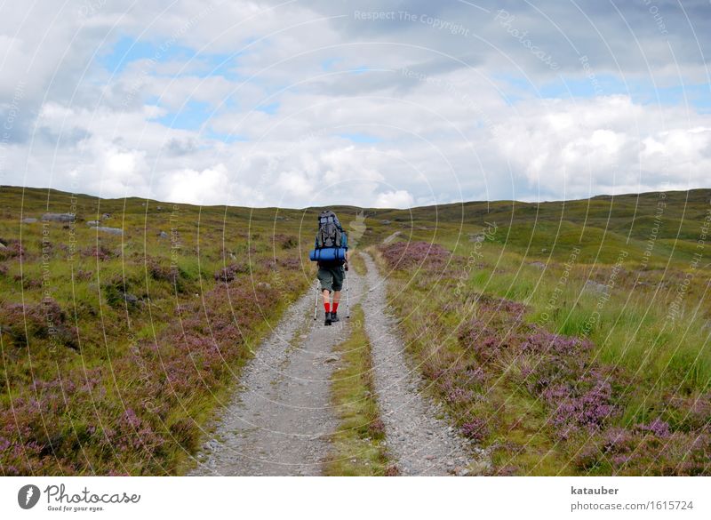 uphill Nature Landscape Plant Meadow Hill Walking Hiking Tall Athletic Bravery Self-confident Optimism Adventure Scotland Heathland Lanes & trails Beautiful