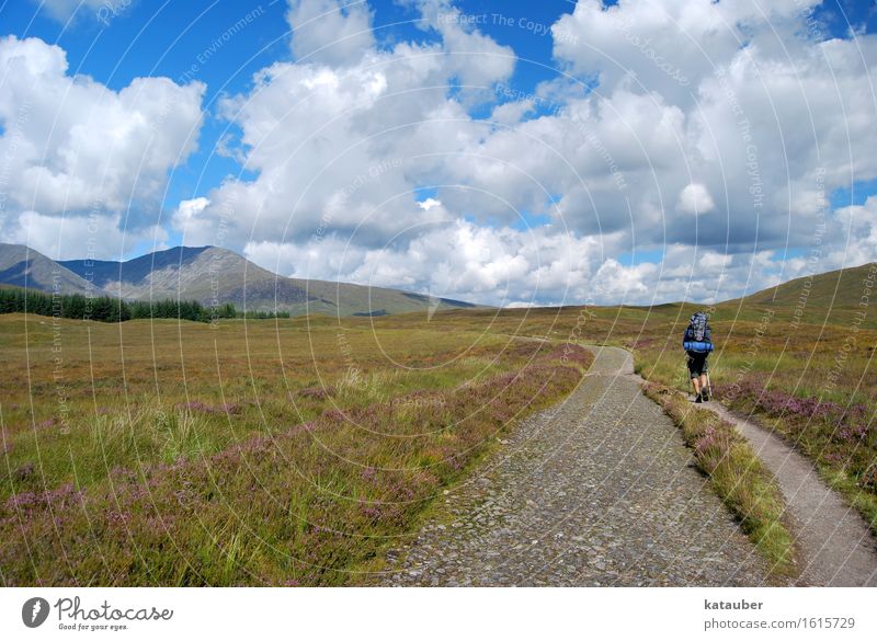 rannoch moor Nature Landscape Sky Clouds Beautiful weather Meadow Hill Hiking Athletic Hope Adventure Scotland Blue sky Heather family Heathland Lanes & trails