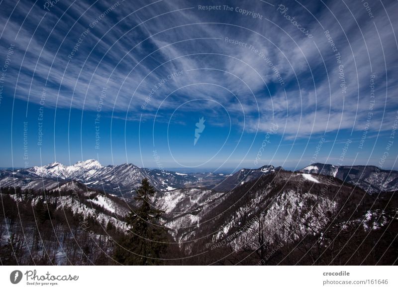 Alpine foothills Alps Austrian Alps Snow Mountain Clouds Sky Tree Treetop Clump of trees Vantage point Valley Panorama (View) Winter kasberg Large