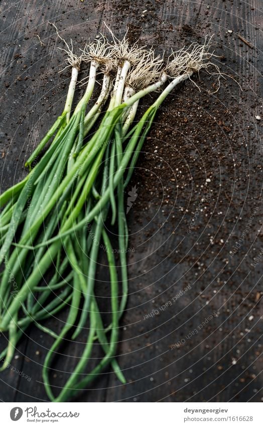 Fresh onions on dark wooden table Vegetable Nutrition Diet Cook Group Nature Plant Green White Onion Ingredients Organic Salad Raw Close-up Early onion