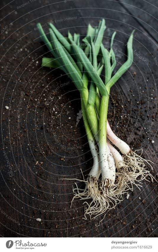 Fresh green garlic on dark wooden table Vegetable Herbs and spices Eating Vegetarian diet Nature Leaf Green Garlic spring Organic Leek Raw Odor Ingredients