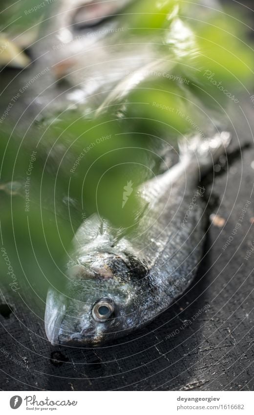 Raw Sea bream fish on dark wooden table Seafood Lunch Dinner Diet Ocean Gastronomy Wood Dark Fresh Delicious Black White gilthead Tasty Meal Ingredients Gourmet