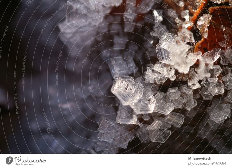 ice crystals Winter Snow Nature Ice Frost Leaf Glittering Cold Ice crystal Geometry Crystal structure Close-up Macro (Extreme close-up) Light Reflection