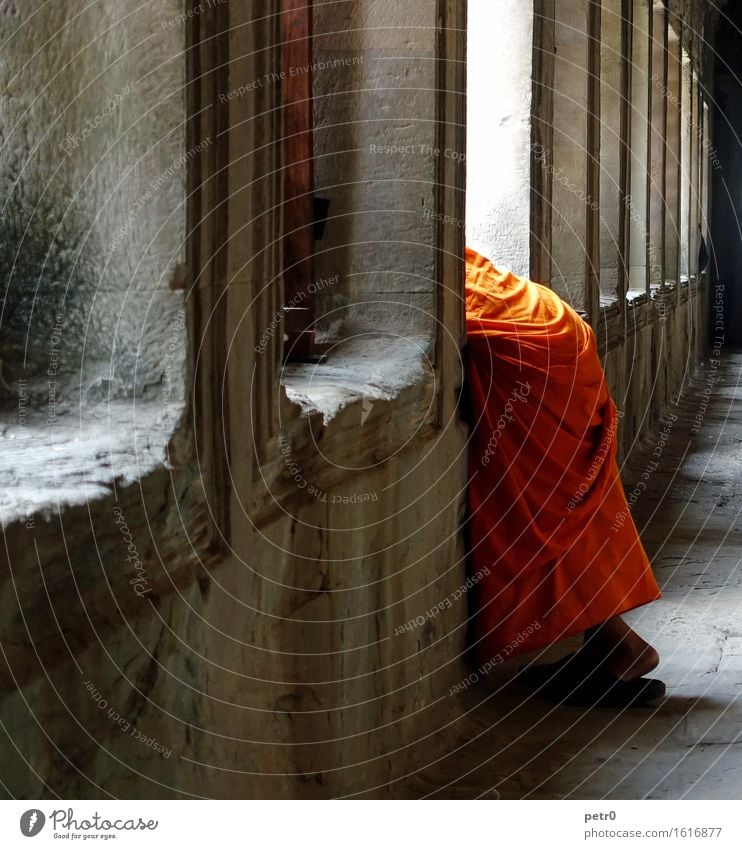 monk Human being Masculine Man Adults 1 18 - 30 years Youth (Young adults) Angkor Wat Cambodia Asia Temple Wall (barrier) Wall (building) Corridor