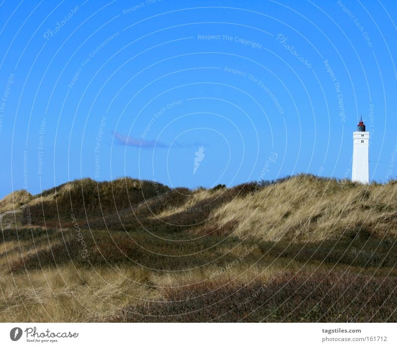 LEUCHTTURM FROM Blåvandshuk Blavands Huk Beach Lighthouse Beach dune Dune Grass Plant Summer Sky Vacation & Travel Leisure and hobbies Denmark Relaxation