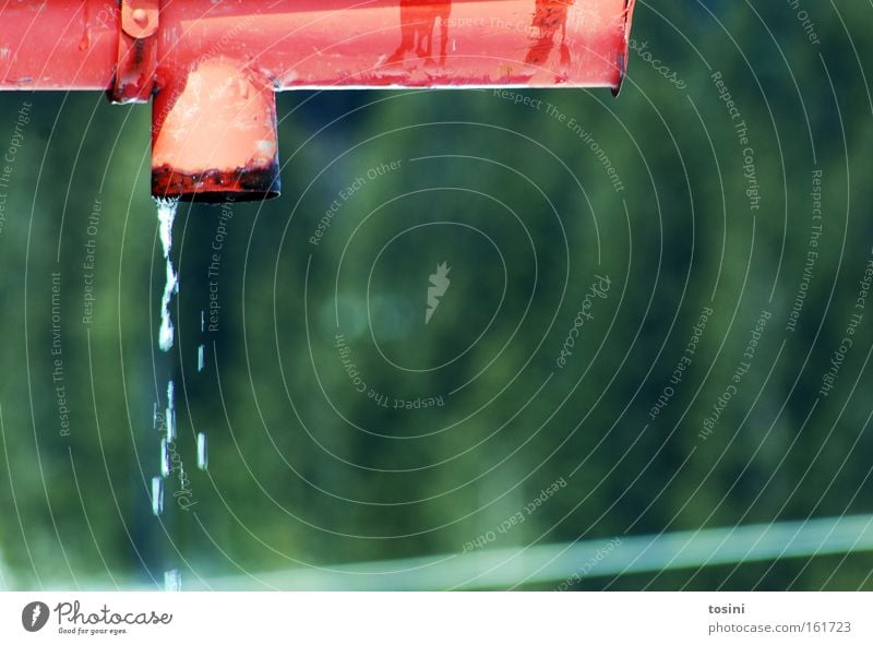 drip off Rain gutter Water Drainage Drops of water Green Red Gutter Weather Melt Melt water Background picture Spring Winter Contrast