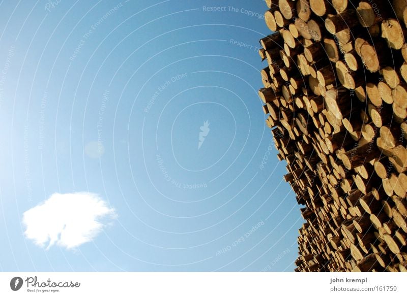 a lot of wood in front of the hut Wood Stack of wood Tree Tree stump Tree trunk Clouds Sky Blue Wooden wall Forestry Saw mill