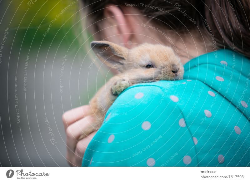 R Ü C View Girl Head Hair and hairstyles Fingers Shoulder 1 Human being 8 - 13 years Child Infancy Garden Pet Animal face Pelt Paw Pygmy rabbit hare spoon Snout