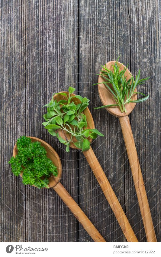 3 spoons with medicine Food Herbs and spices Rosemary Parsley Marjoram Nutrition Organic produce Vegetarian diet Diet Slow food Spoon Healthy Healthy Eating