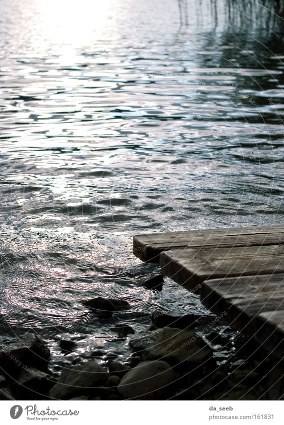 At the lake Black & white photo Exterior shot Detail Copy Space top Evening Twilight Light Sunrise Sunset Back-light Summer Beach Water Thunder and lightning