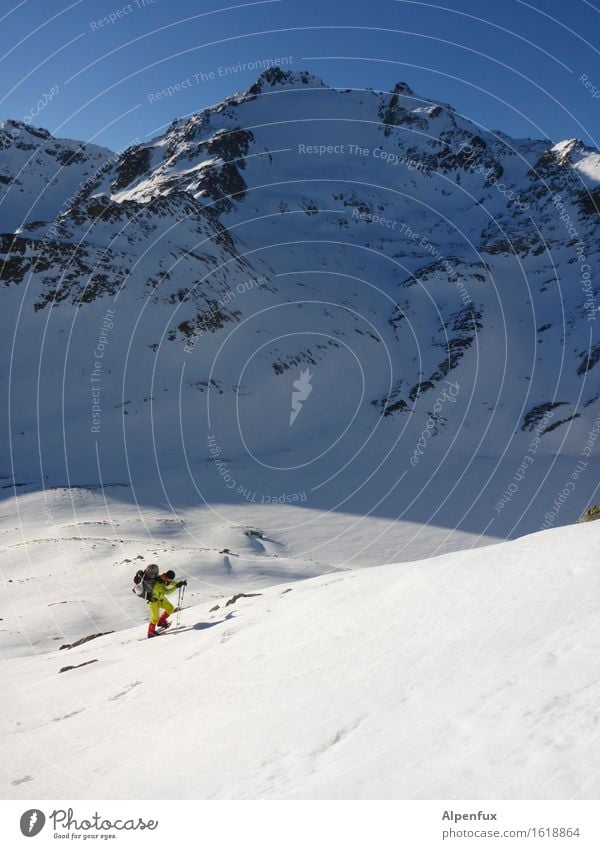 snowshoe hikers Climbing Mountaineering Winter Beautiful weather Ice Frost Snow Rock Alps Austria Peak Snowcapped peak Glacier Fight Hiking Bright White Power