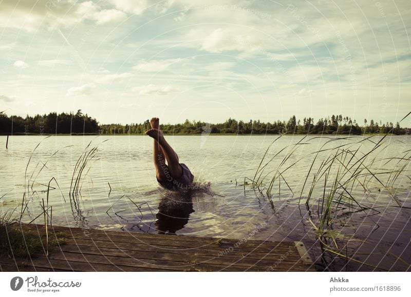 Jump from a jetty into a lake, summery cooling off Joy Swimming & Bathing Trip Summer Human being Masculine Man Adults Youth (Young adults) Life Legs 1 Nature