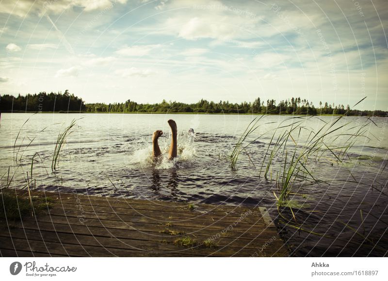 cooling down Joy Swimming & Bathing Trip Summer Human being Life Legs Nature Lake Jump Dive Joie de vivre (Vitality) Anticipation Beginning Movement Relaxation