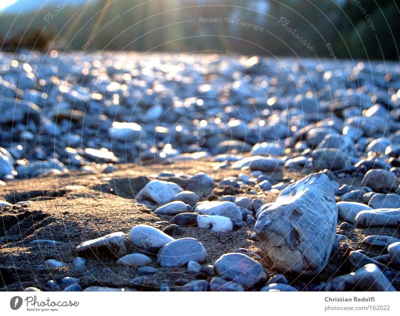 beach Shadow River Lech Municipality of Lech Stone Puppydog eyes Dandelion Sun Sunset Beach Coast Lakeside River bank Sand Sunbeam Gravel Grief Distress Summer