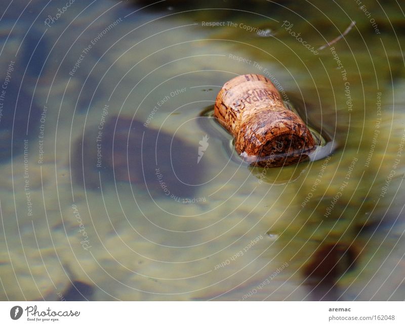 Superficial Water Cork Sparkling wine Champagne Feasts & Celebrations End Remainder Alcoholic drinks Club Float in the water