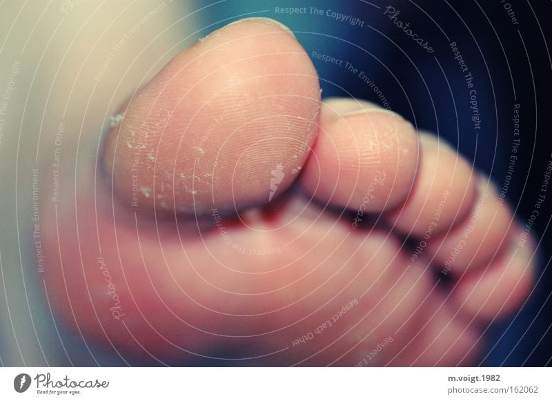 strung Feet Toes Skin Wrinkles Unhealthy Close-up Frontal Detail Corneal layer Nail Macro (Extreme close-up) big toe scraped Barefoot