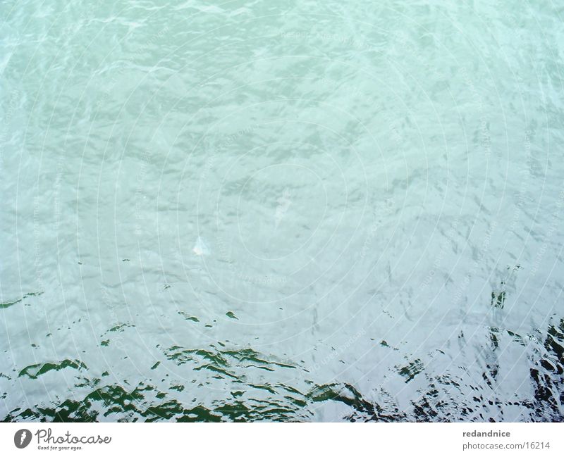 the Baltic Sea Jellyfish Ocean Water