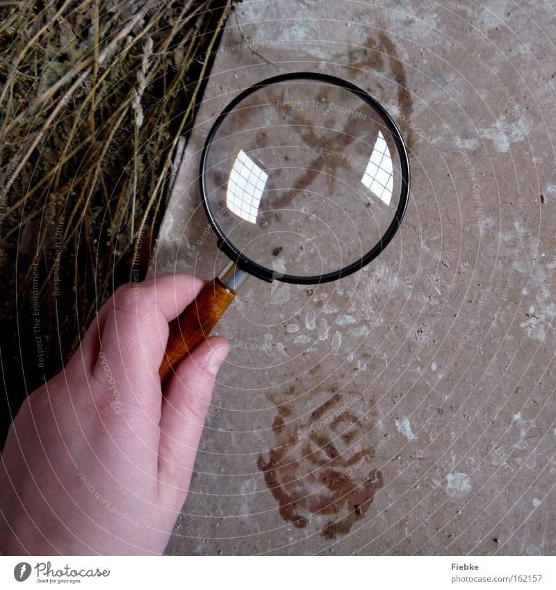 Sherlock Holmes Discover Tracks Footprint Magnifying glass Criminality Clarify Curiosity Hand Floor covering Ground Reflection Crime scene Murder