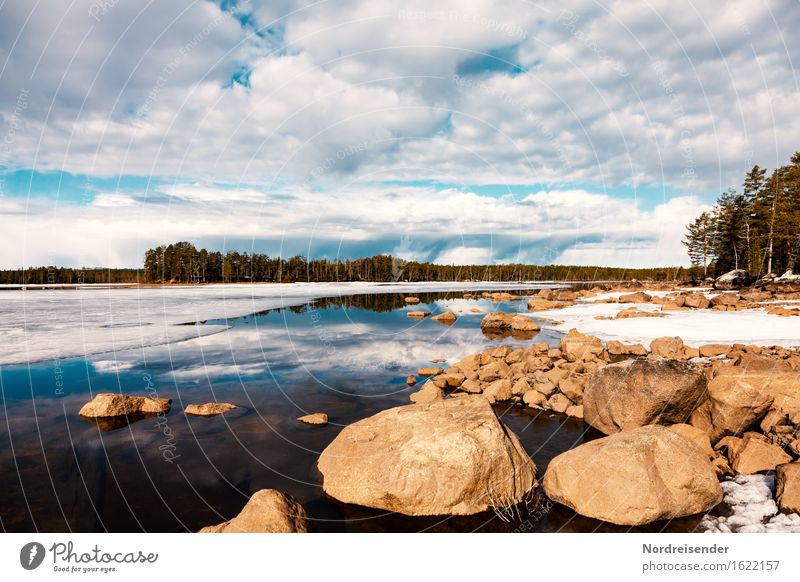 melting of snow Vacation & Travel Far-off places Freedom Nature Landscape Elements Water Spring Winter Climate Beautiful weather Ice Frost Forest Lakeside Stone