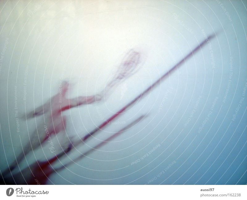 Miroslav Mecir - The cat Tennis Tennis ball Wimbledon Abstract Hazy Playing Tennis rack forehand