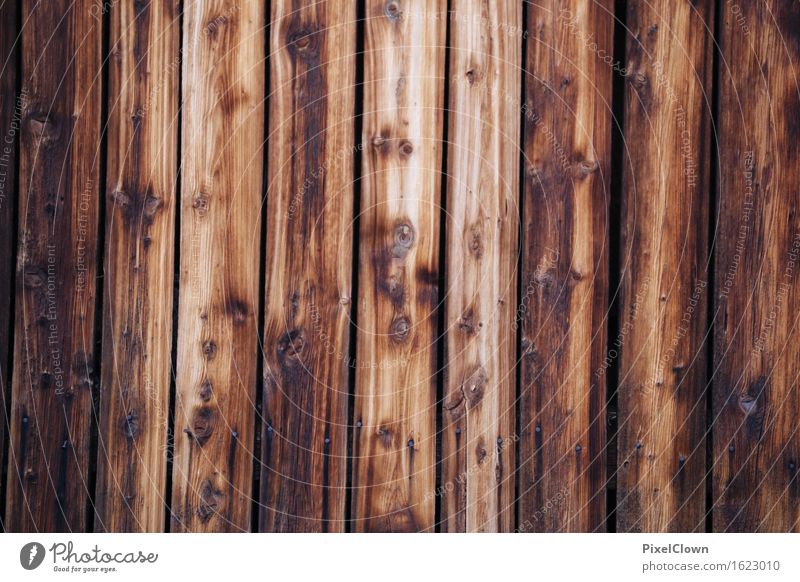 wooden fence Living or residing Garden Construction site Wall (barrier) Wall (building) Facade Wood Build Brown Esthetic Colour photo Close-up Abstract