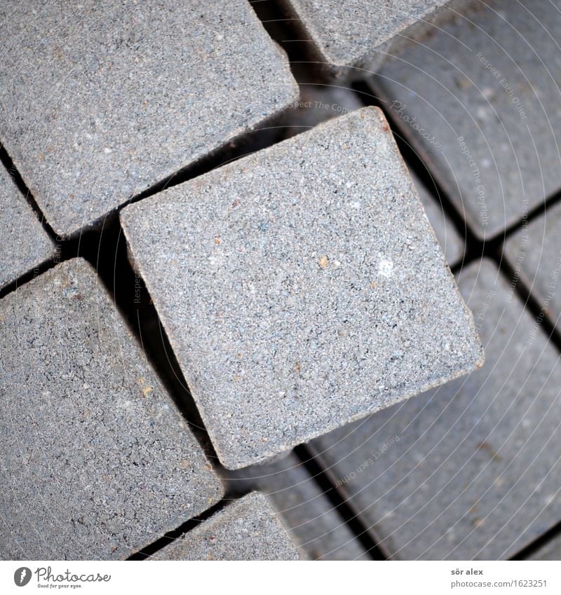 symmetry Paving stone Cobblestones Gray Symmetry Cube Equal Pave Civil engineering Geometry Seam Square Exceptional Tilt Asymmetry Colour photo Exterior shot