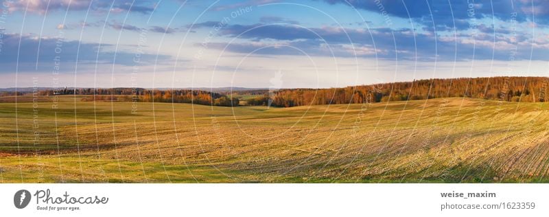 Sunny spring fields in the evening Beautiful Summer Environment Nature Landscape Earth Sky Clouds Sunrise Sunset Spring Beautiful weather Grass