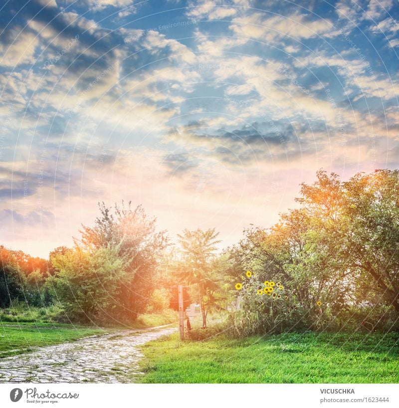 Summer nature. Summer garden Lifestyle Vacation & Travel Garden Environment Nature Landscape Plant Sky Sunrise Sunset Autumn Beautiful weather Tree Flower Grass