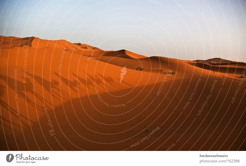 Walking on a dune shadow Earth Sand Horizon Desert Hot Dry Loneliness Target Empty Dune Sahara Caravan Camel Orientation Search Africa Shadow