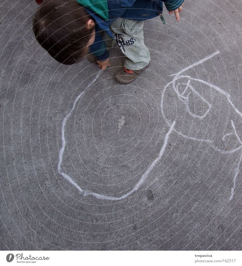 junge Child kind beton strasse malerei zeichnung kunst kreativ kreide spielen zeichnen Asphalt linie stadt Kindergarten