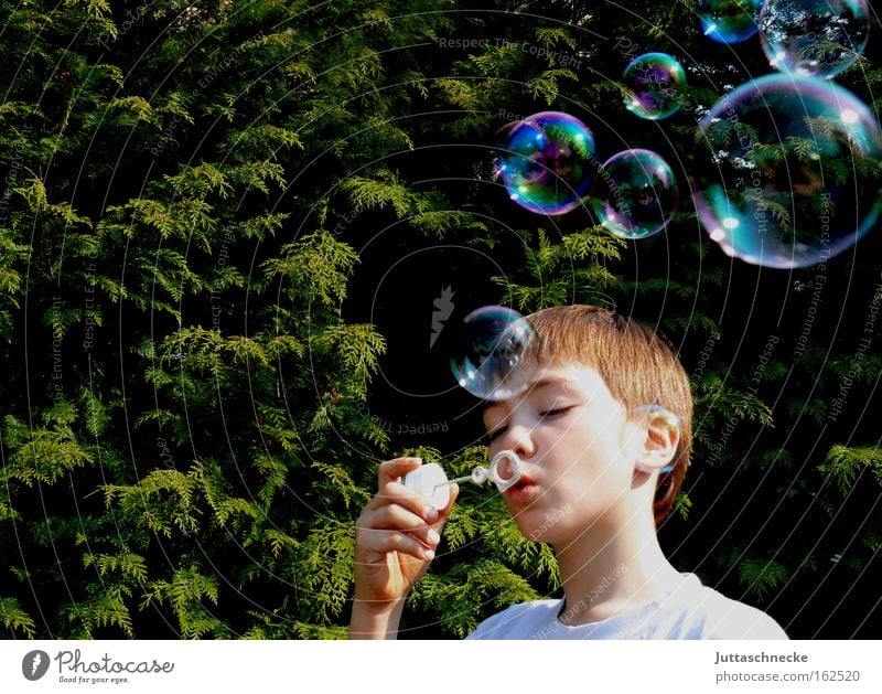 Dream on Soap bubble Blow Bubble Child Infancy Boy (child) Toys Glittering Playing Bursting Beautiful Peace Joy evergreen Juttas snail