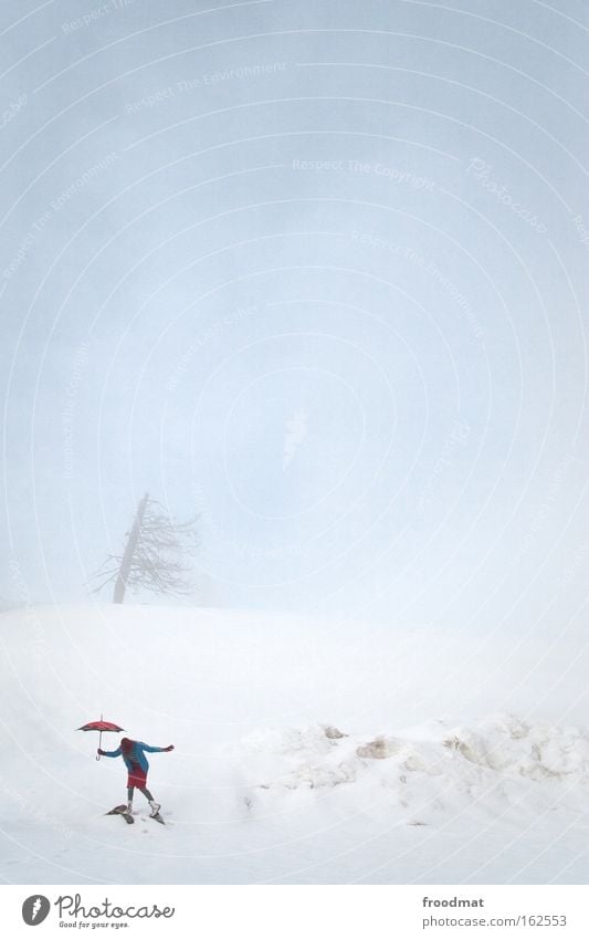 poppins Fog Snow Mountain Switzerland Umbrella Gale Passion Cold Winter Tree Woman Contentment Surrealism Sky Minimal Bleak Gloomy