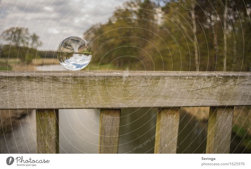 Beautiful view Environment Nature Landscape Plant Animal Spring Meadow Field Forest River bank Glass Moody Joie de vivre (Vitality) Bridge Glass ball