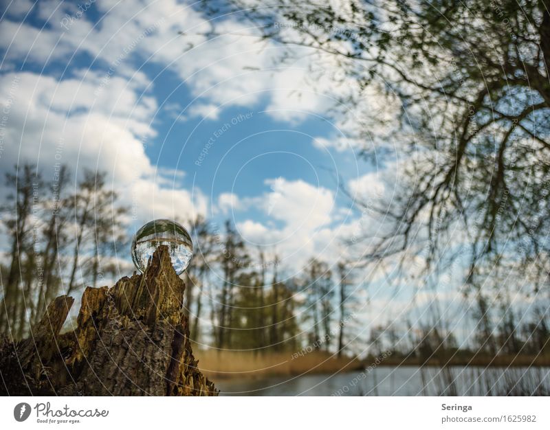 Timeless Environment Nature Landscape Plant Animal Water Spring Summer Autumn Waves Coast Lakeside Brook River Relaxation Glass ball Colour photo Multicoloured